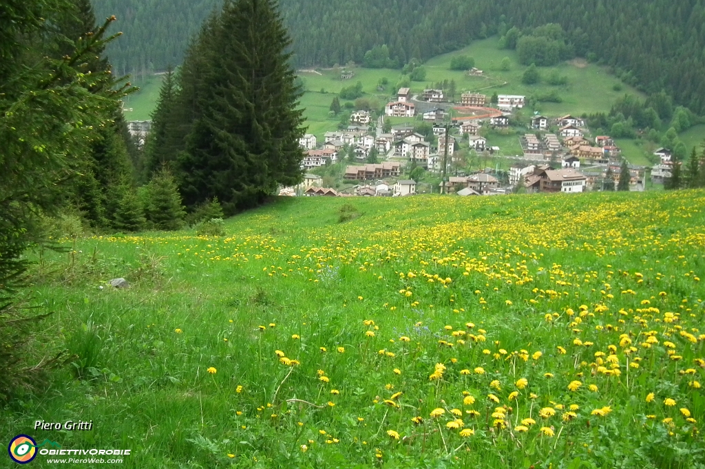 78 Pista da sci in fiore.JPG